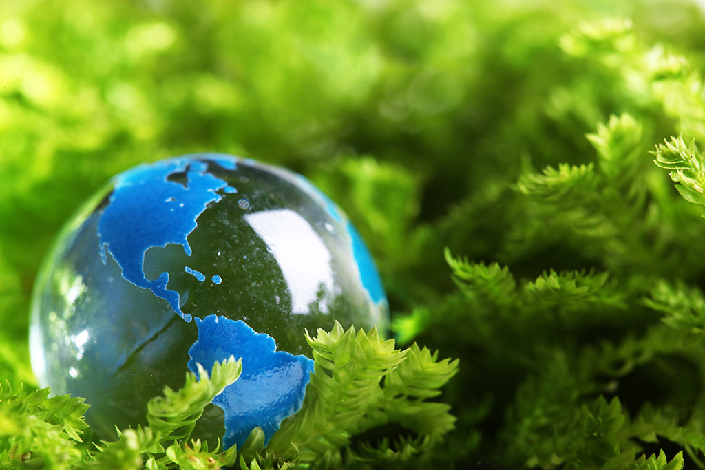sustainability