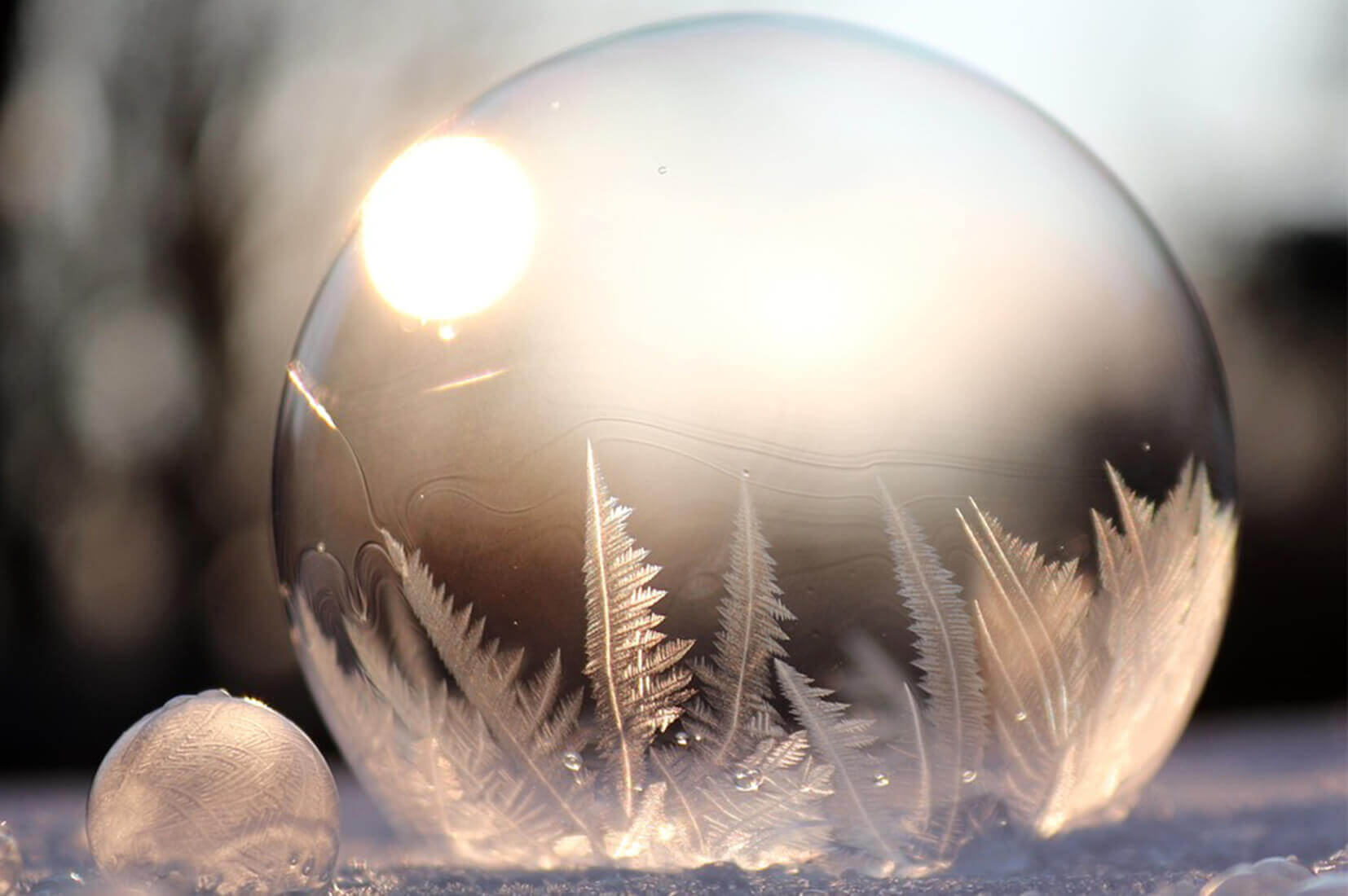 cold concept image - frozen soap bubble